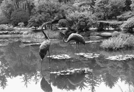 Discussion in the Garden
