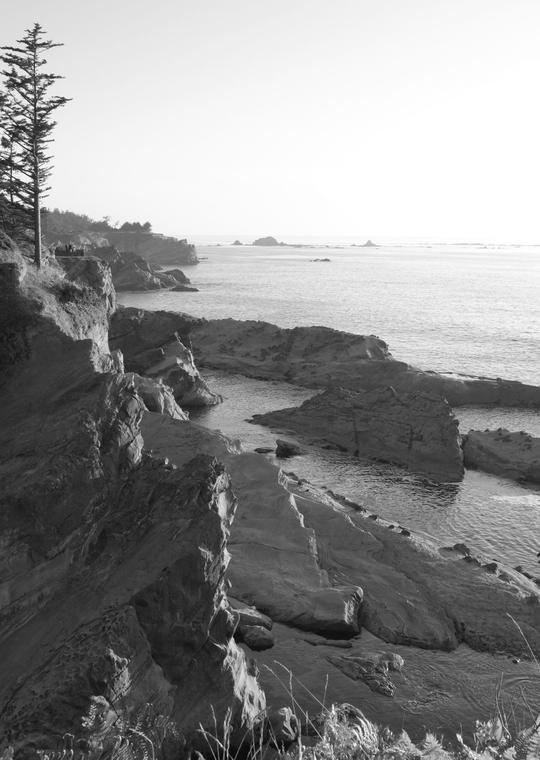 Morning at Shore Acres