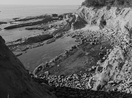 Tidal Pools at Shore Acres